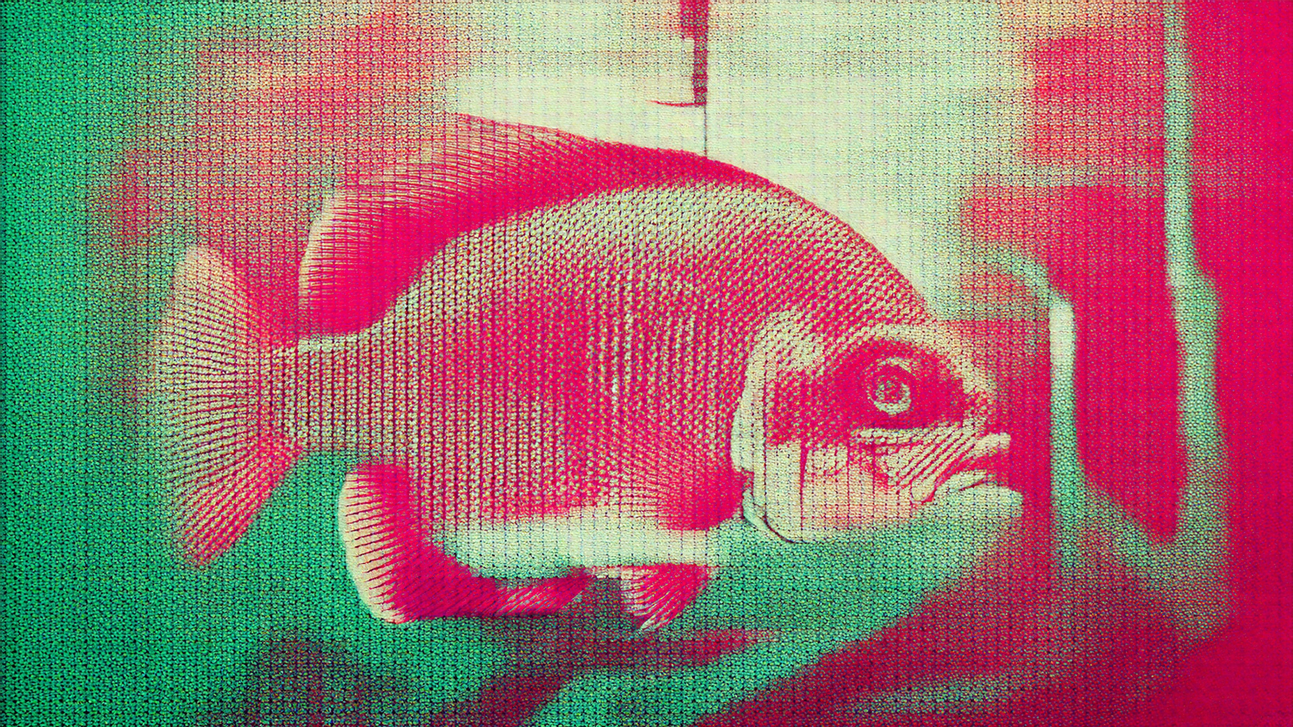 Phishing attacks: Definition, examples, and mitigation