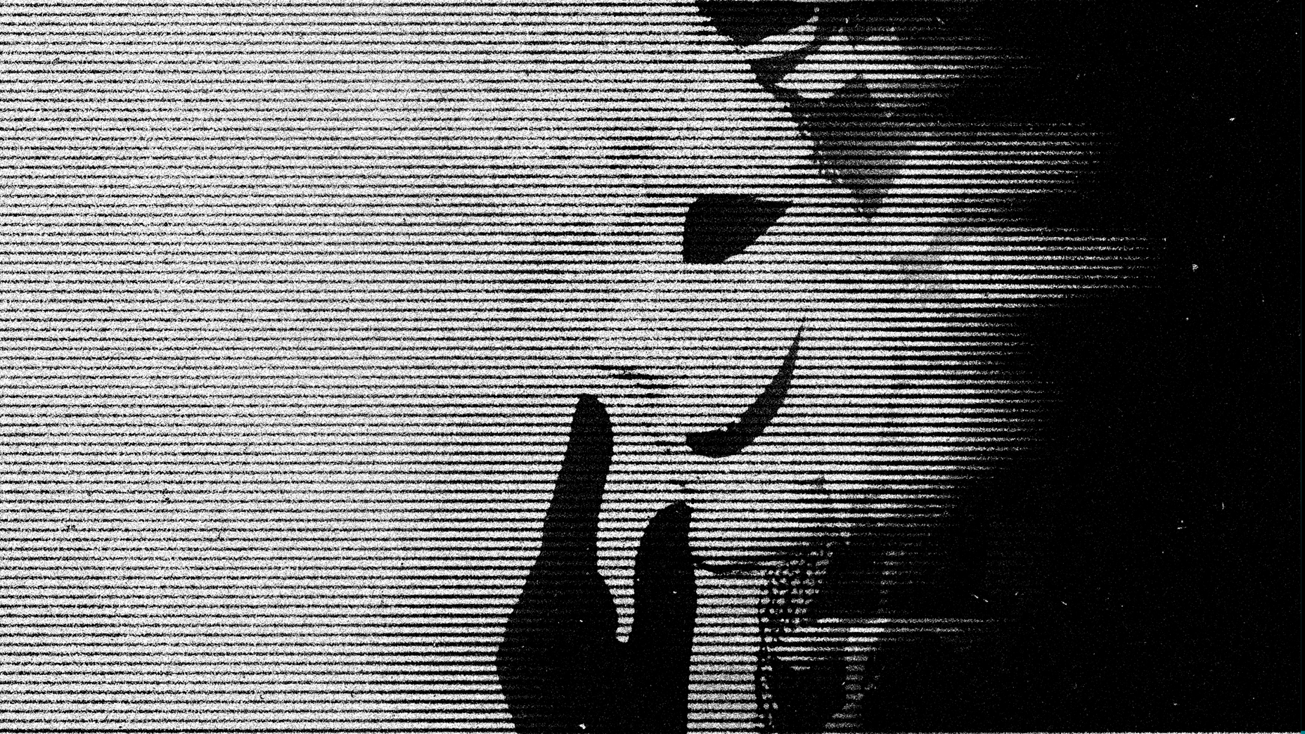 The $2 billion digital heist: How scammers are stealing from New Zealanders