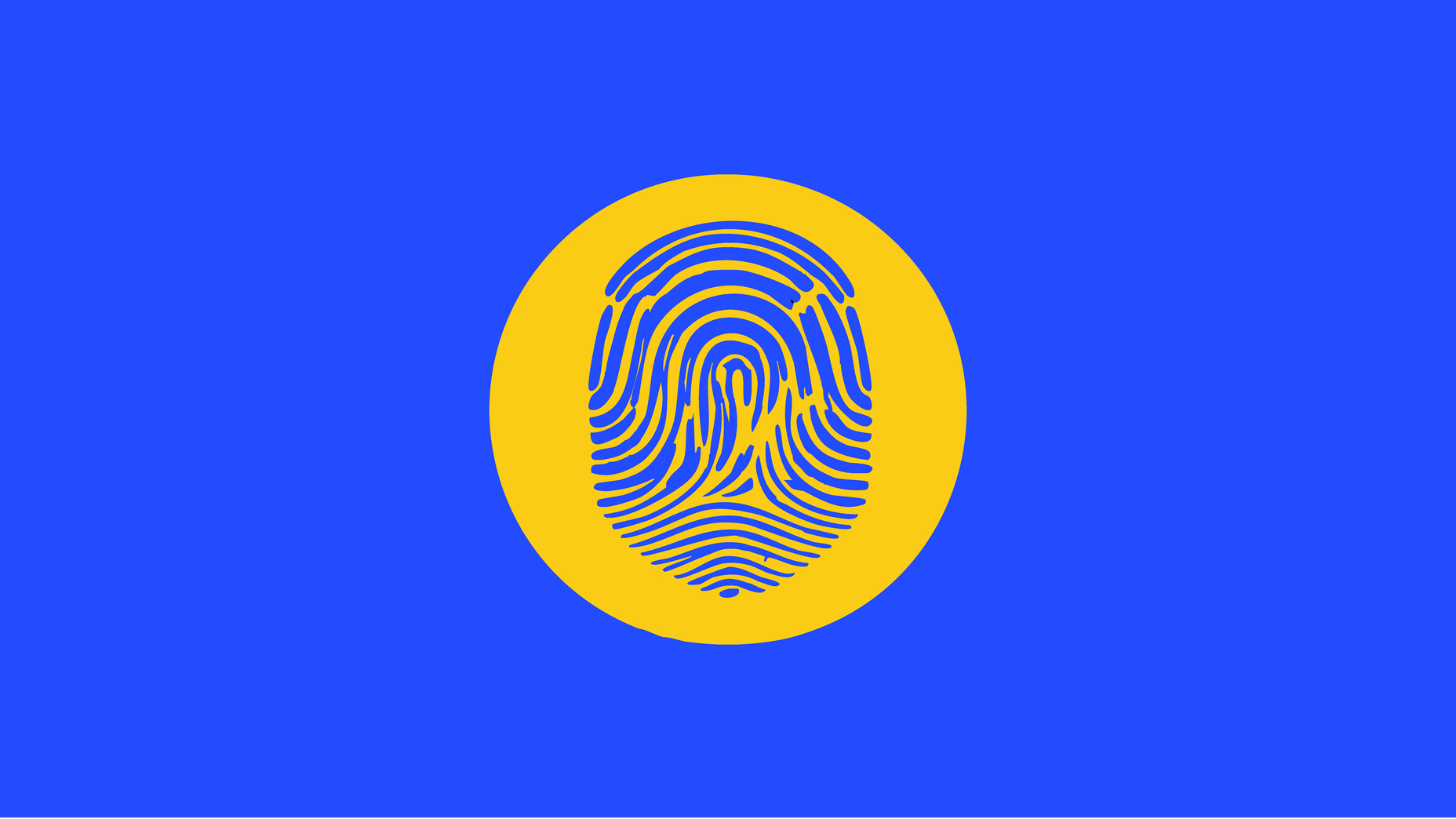 Identity Verification: ID Points Leaving You Vulnerable?