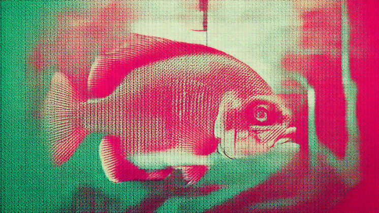Phishing attacks: Definition, examples, and mitigation