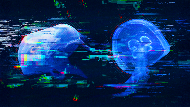 Don't Let One Pandemic Infect Another