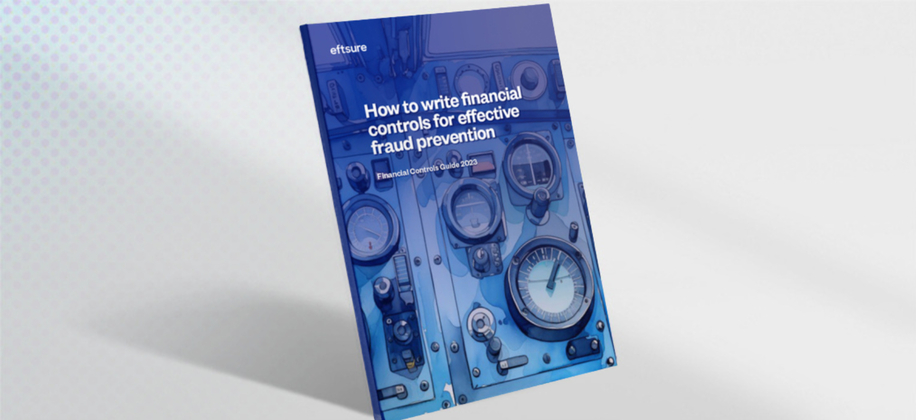Financial Controls Guide