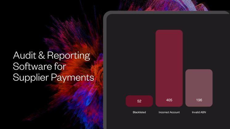 Audit and Reporting software for supplier payments