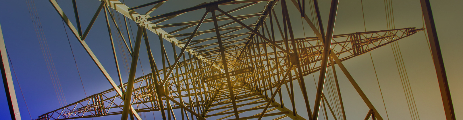 How Genus Plus Group scaled secure payments with growth