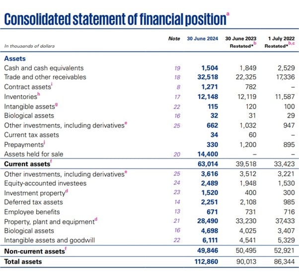 How to read a financial statement: a balance sheet showing assets and liabilities.